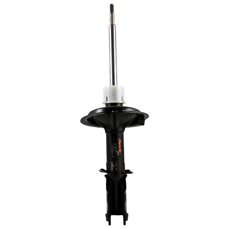Amortecedor Dianteiro Turbogas - Cofap - GP32417 - (1)