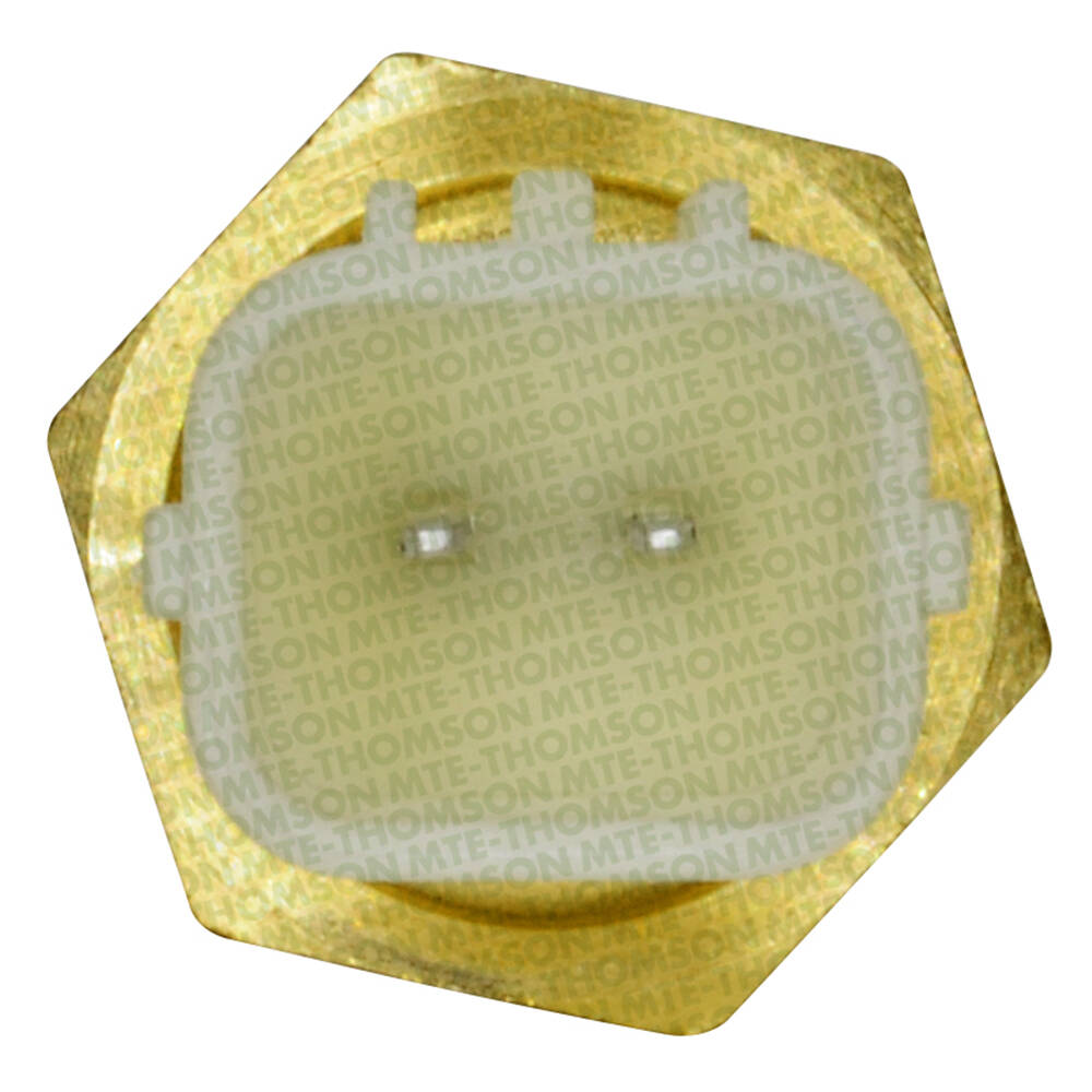 Sensor de Temperatura da Água - MTE - 4139 - (3)