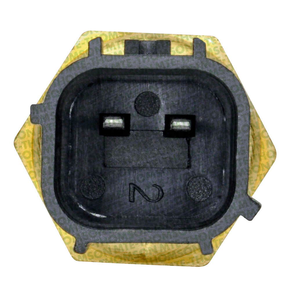 Sensor de Temperatura da Água - MTE - 4189 - (2)