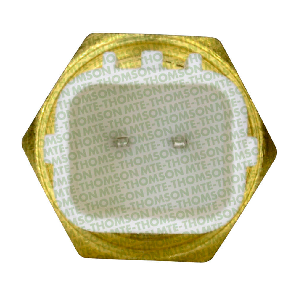 Sensor de Temperatura da Água - MTE - 4159 - (3)