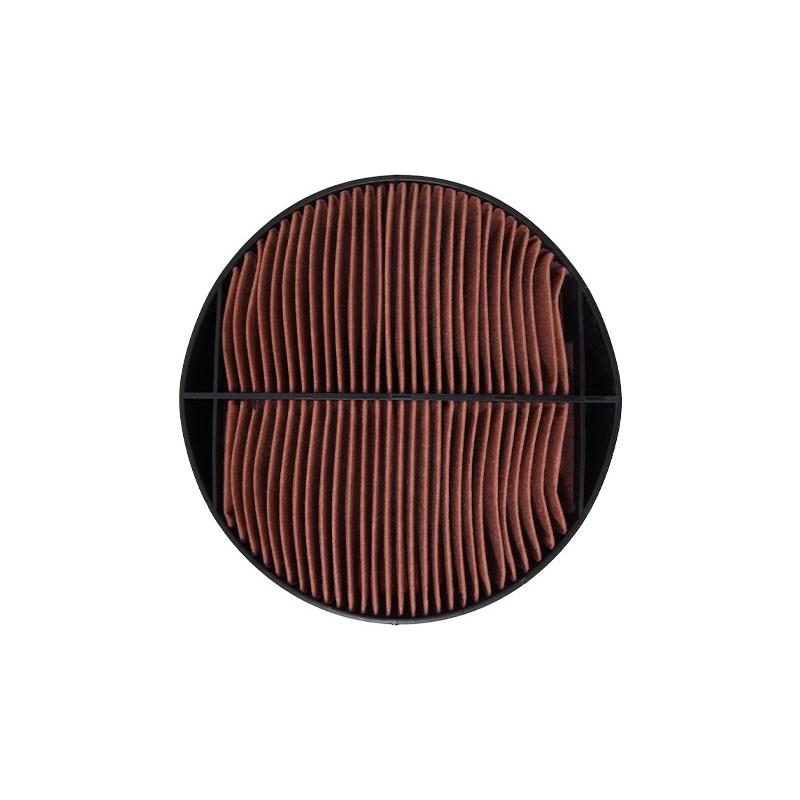 Filtro de Ar Secundário - Wega - WAP-173/S - (3)