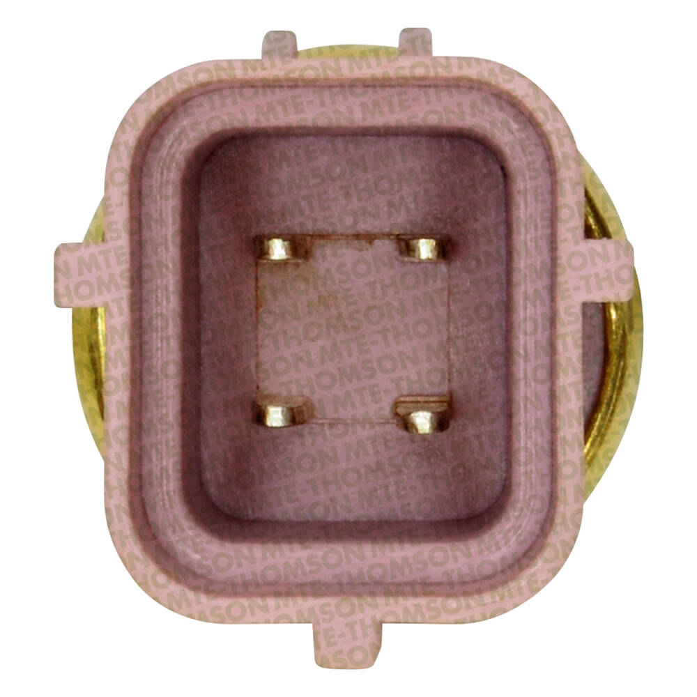 Sensor de Temperatura da Água - MTE - 4252 - (2)