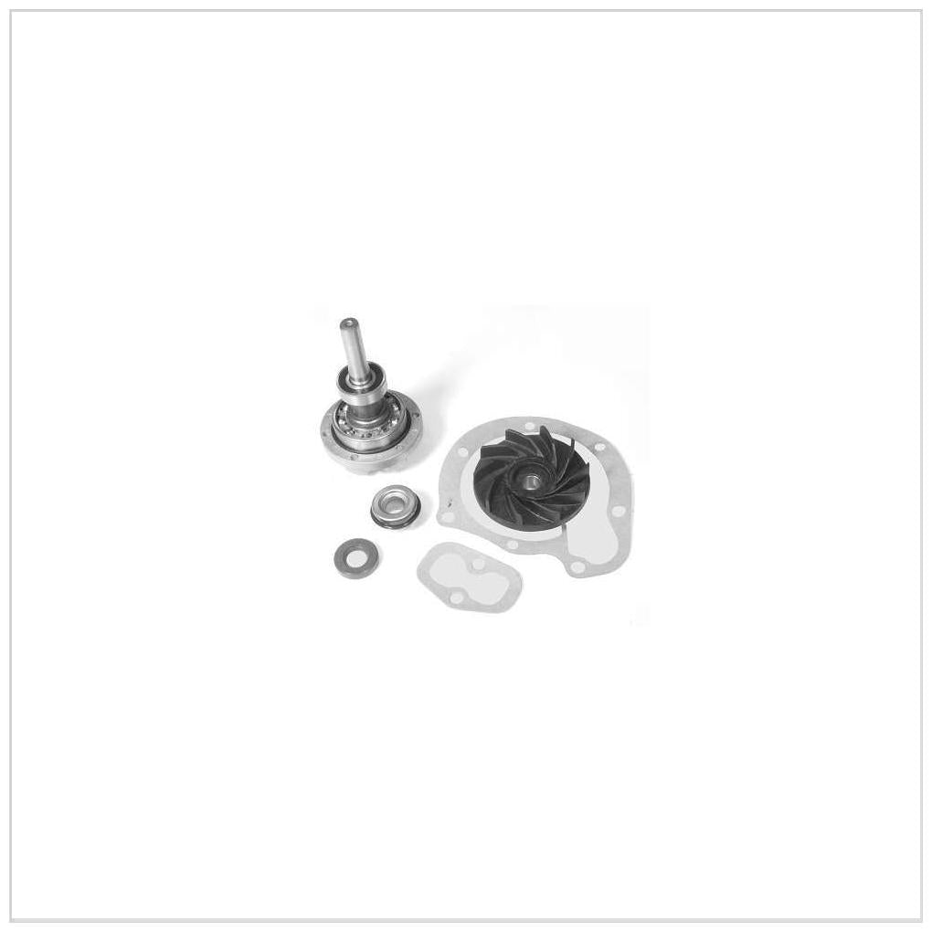 Jogo de Reparo da Bomba d'Água - SKF - VKPC 4695 R - (1)