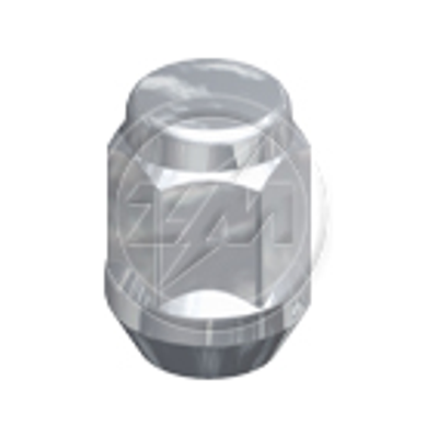 Kit 100 Porca da Roda M12-1,25 x CH19 x H31 - ZM - 29.012.60 - (1)