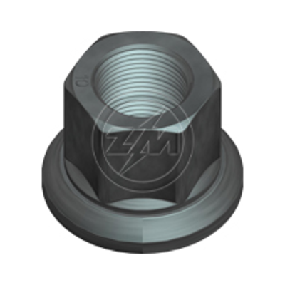 Kit 30 Porca da Roda M22-1,5 x CH32 x H33 - ZM - 29.022.04 - (1)