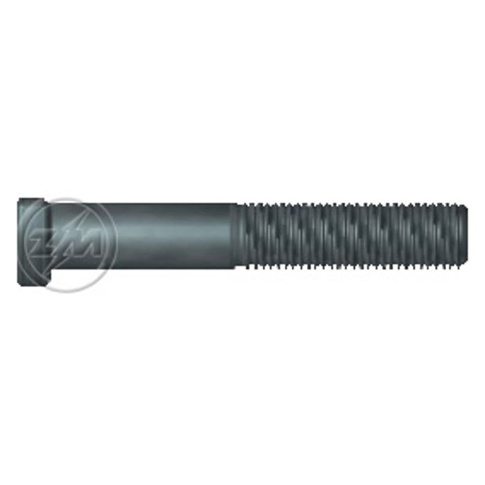 Kit 40 Parafuso de Roda M18-2,0 x 111/120 - ZM - 30.018.22 - (1)
