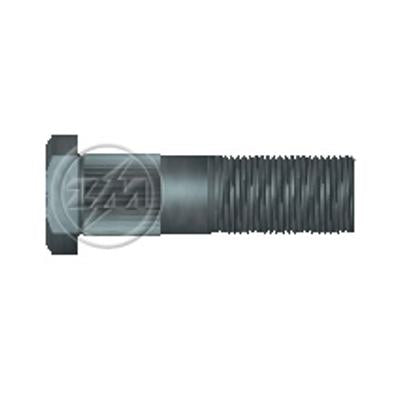 Kit 25 Parafuso de Roda M20-1,5 x 69/77 - ZM - 30.020.04 - (1)