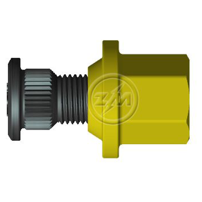 Kit 50 Parafuso Roda M12-1,25x37/40xCH19xH24,5 - ZM - (1)
