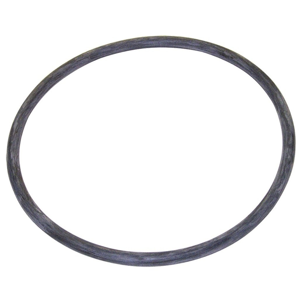 Guarnição da Flange do Módulo de Combustível - DSC - 2068 - (1)