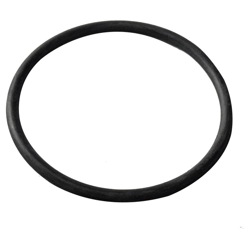 Guarnição da Flange do Módulo de Combustível - DSC - 2071 - (1)