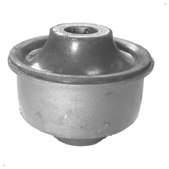 Par Bucha da Bandeje Dianteira - Delphi - TD316W - (2)