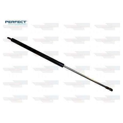 Par Amortecedor Porta Malas - Perfect - APM10091 - (2)