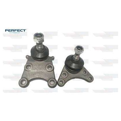Jg Pivo - Perfect - KPV0300 - (1)