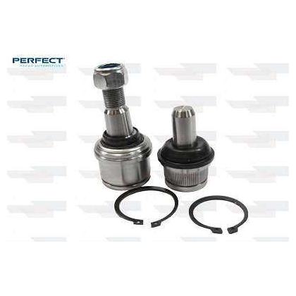 Jg Pivo - Perfect - KPV3048 - (1)