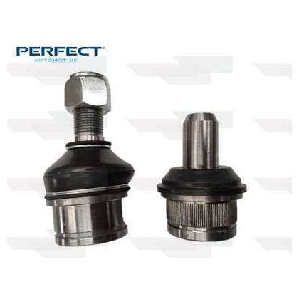 Jg Pivo - Perfect - KPV8059 - (1)