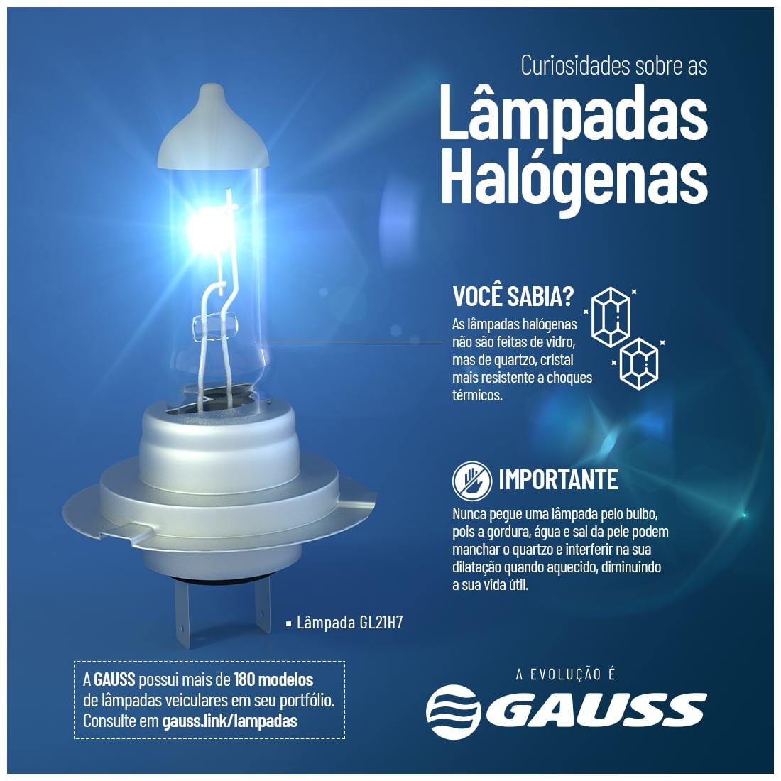 Lâmpada Halogena P13W 12V 13W C1 Incolor - Gauss - GL156P13W - (2)