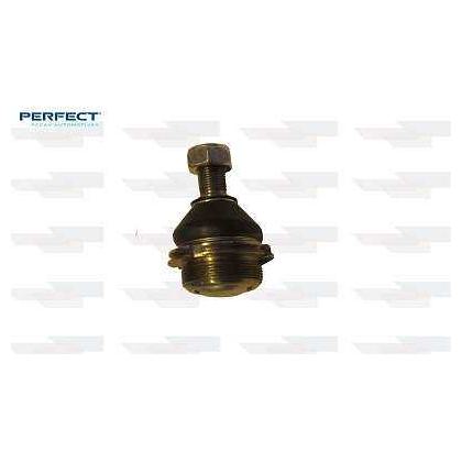 Pivo - Perfect - PVS0211 - (1)