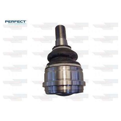 Pivo - Perfect - PVS0222 - (1)