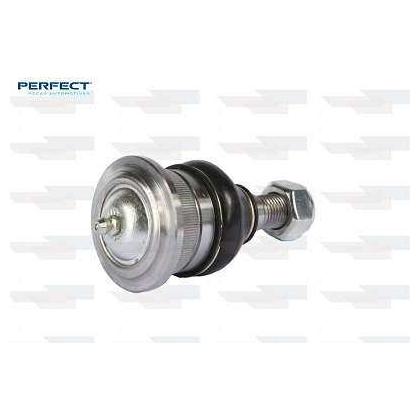 Pivo - Perfect - PVS0749 - (1)