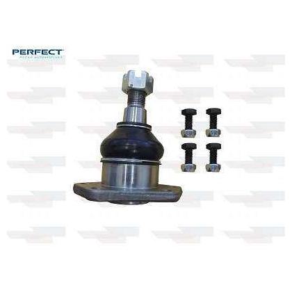 Pivo - Perfect - PVS1029 - (1)