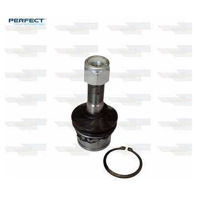 Pivo - Perfect - PVS3049 - (1)