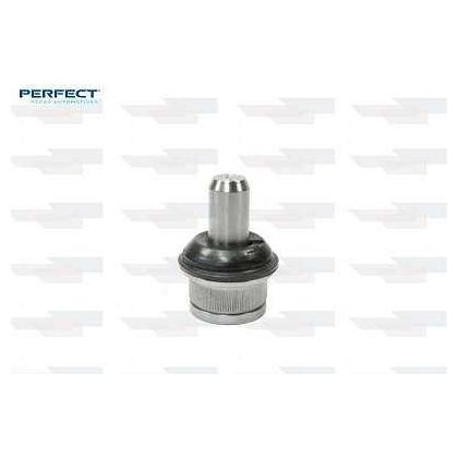 Pivo - Perfect - PVS8560 - (1)