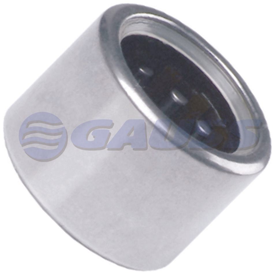Rolamento de Agulhas do Alternador - Gauss - GR6853 - (1)