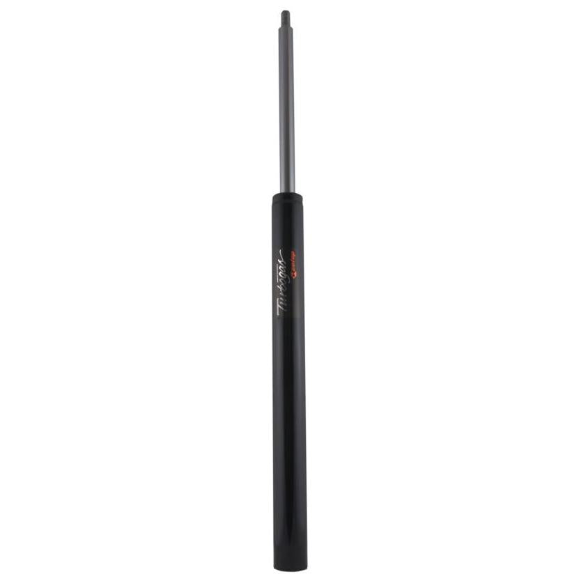 Par Amortecedor Suspensão Traseiro - Cofap - G.32190 - (2)
