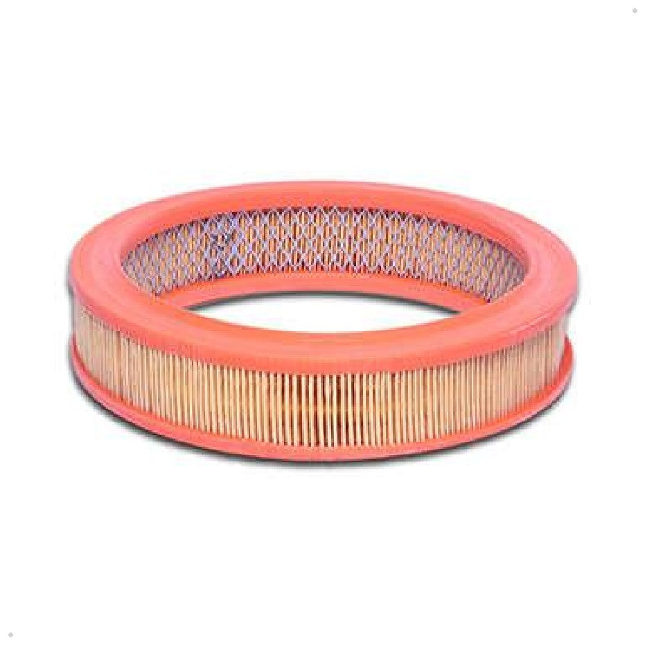 Elemento Filtrante de Ar do Motor - Delphi - EFA589 - (1)