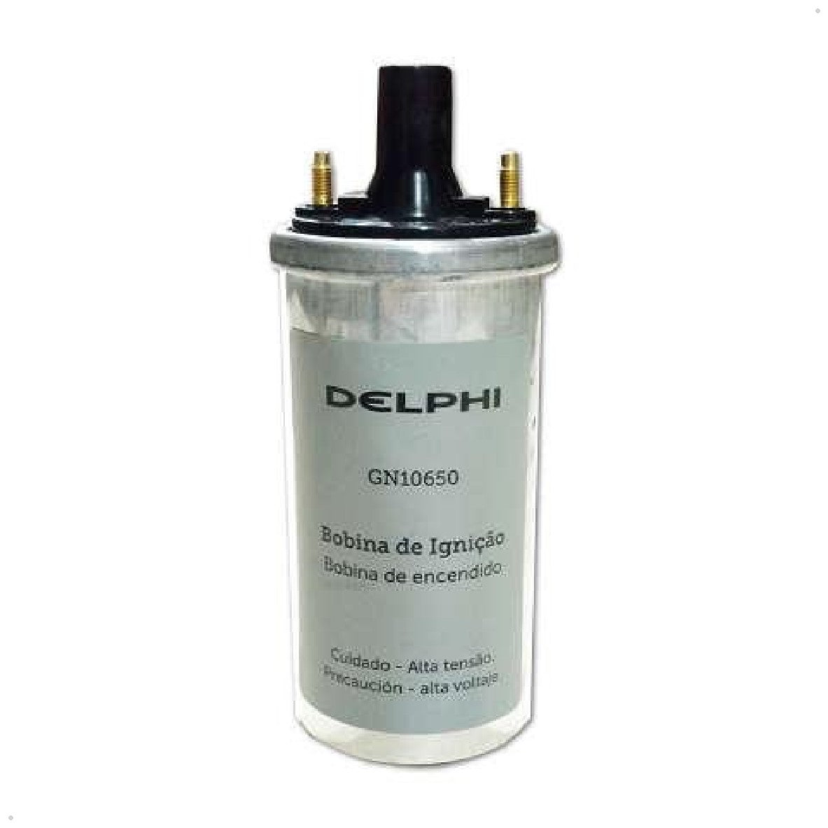 Bobina de Ignição - Delphi - GN10650 - (1)