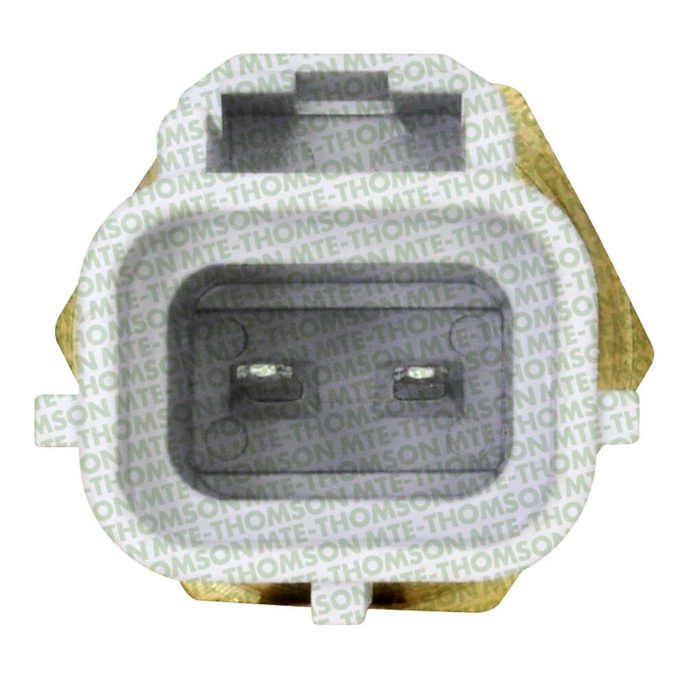 Sensor de Temperatura da Água - MTE - 4037 - (3)