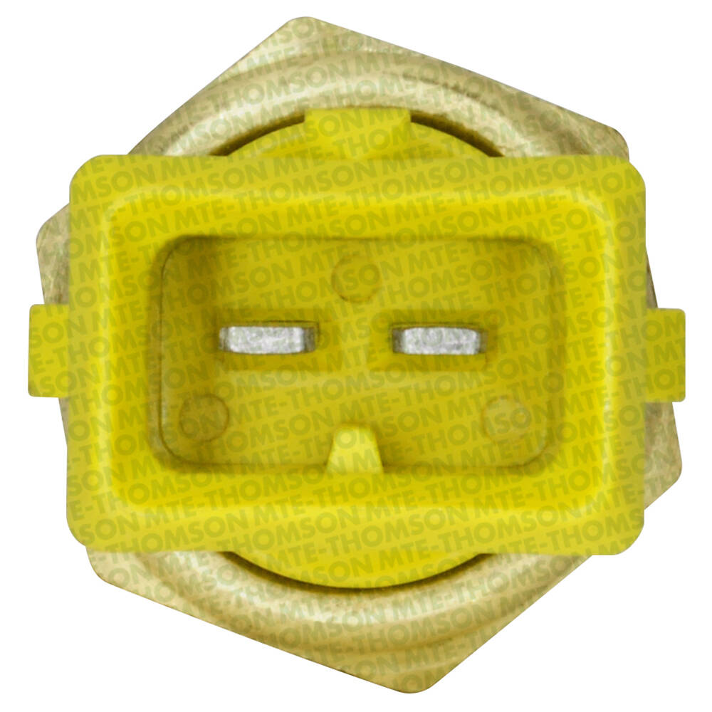 Sensor de Temperatura da Água - MTE - 4063 - (3)