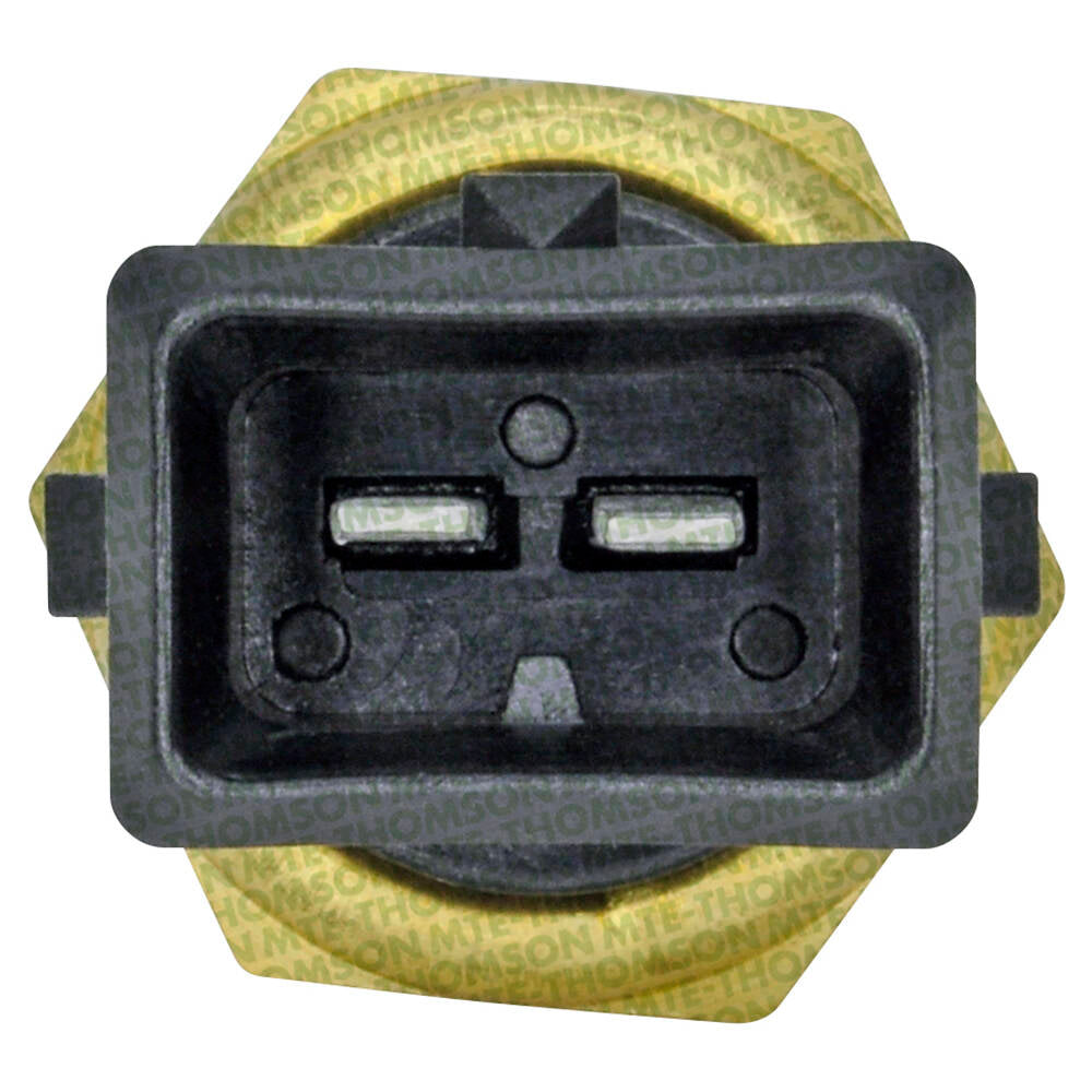 Sensor de Temperatura da Água - MTE - 4155 - (2)