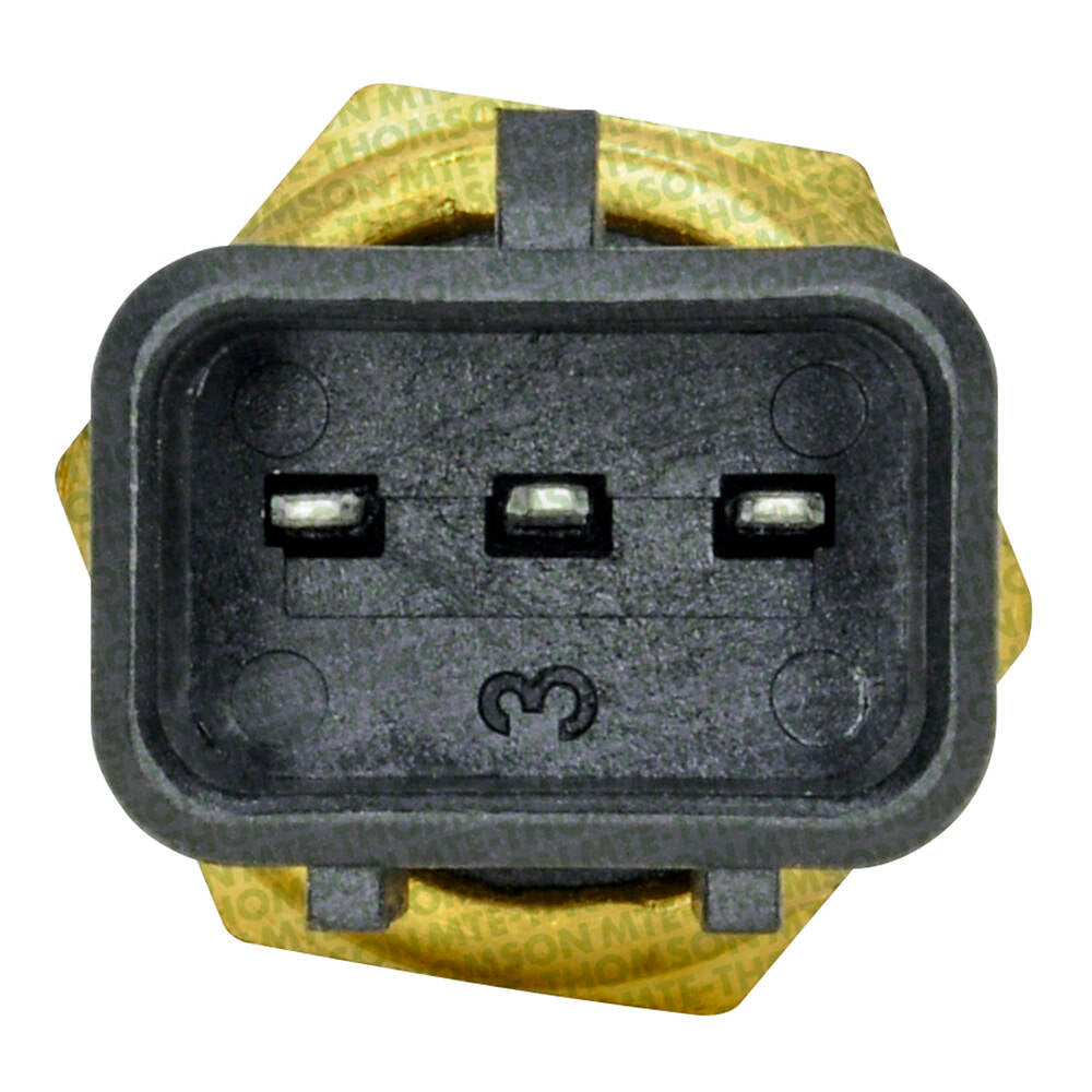 Sensor de Temperatura da Água - MTE - 4162 - (2)