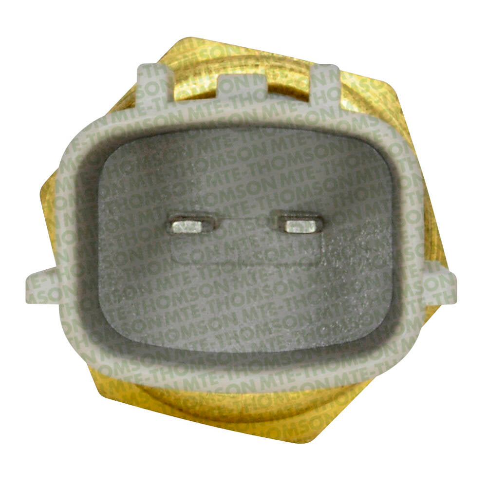 Sensor de Temperatura da Água - MTE - 4165 - (2)