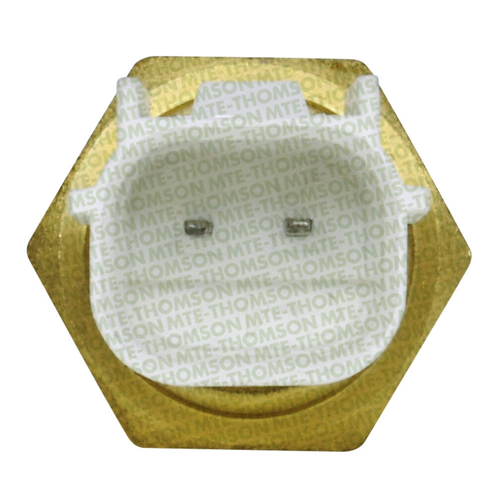 Sensor de Temperatura da Água - MTE - 4167 - (2)