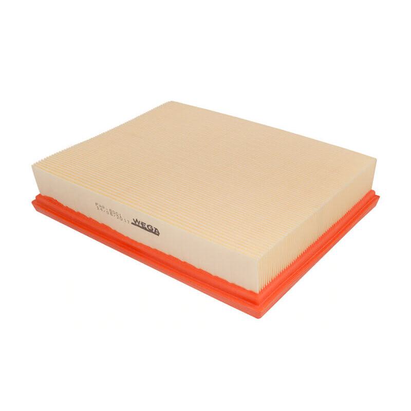 Filtro de Ar do Motor - Wega - FAP-8001 - (2)