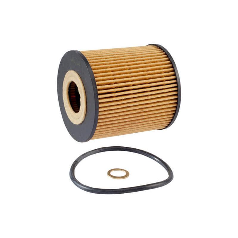 Elemento do Filtro de Óleo - Wega - WOE-250 - (1)