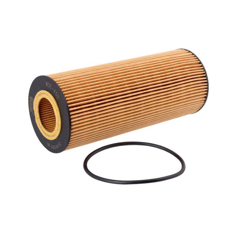Elemento do Filtro de Óleo - Wega - WOE-450 - (1)
