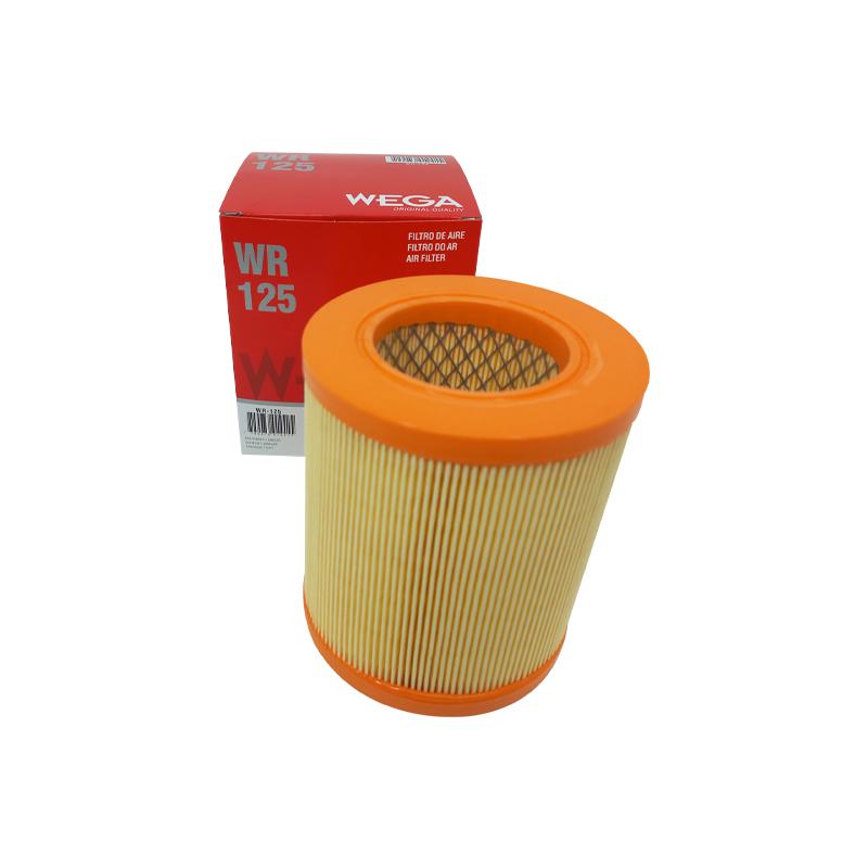Filtro de Ar do Motor - Wega - WR-125 - (1)