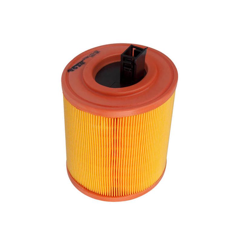 Filtro de Ar do Motor - Wega - WR-150 - (3)