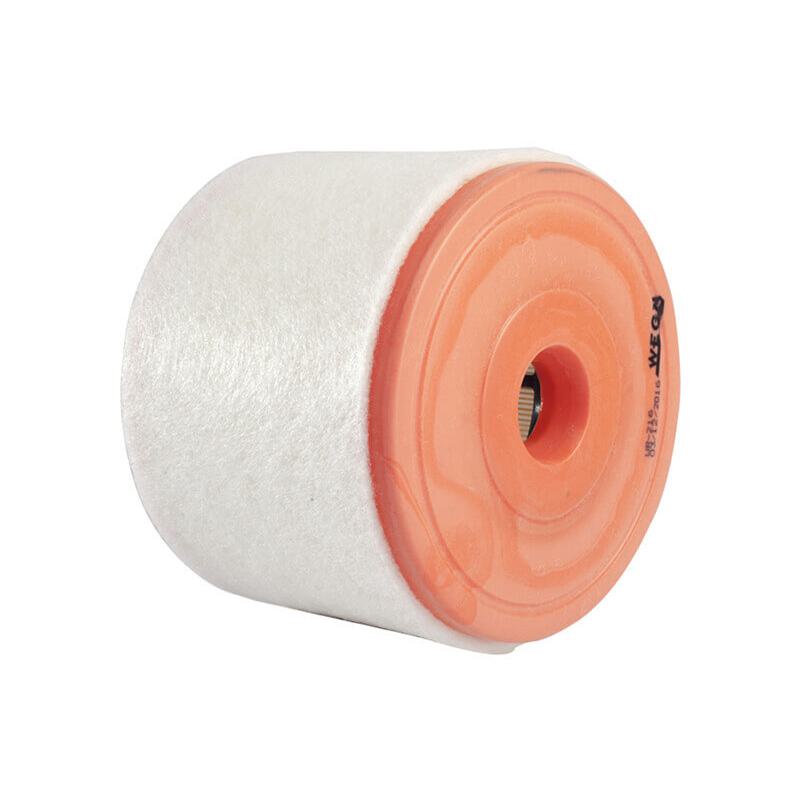 Filtro de Ar do Motor - Wega - WR-216 - (2)