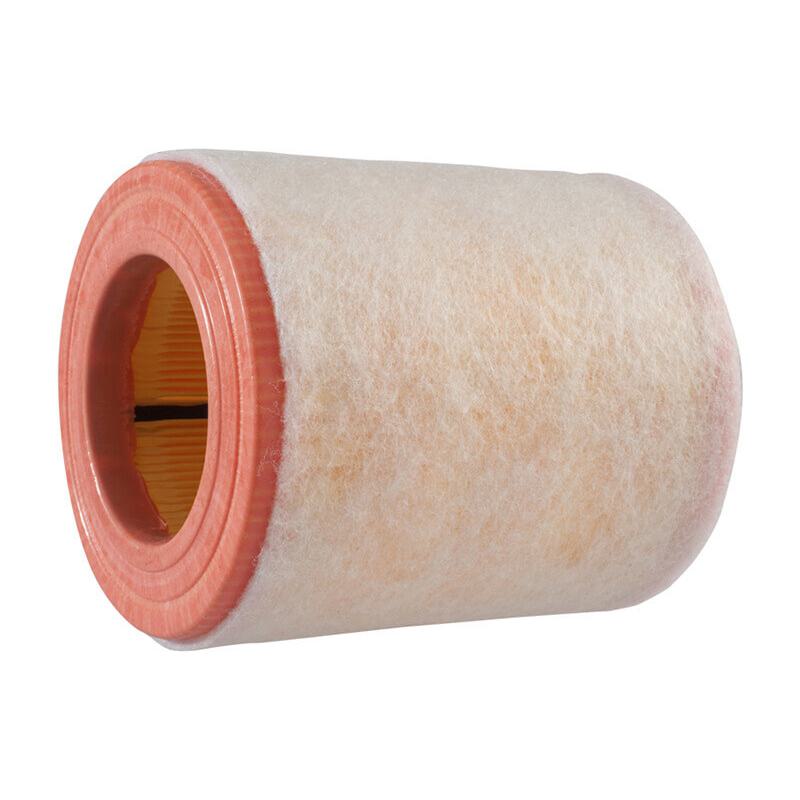 Filtro de Ar do Motor - Wega - WR-369 - (1)