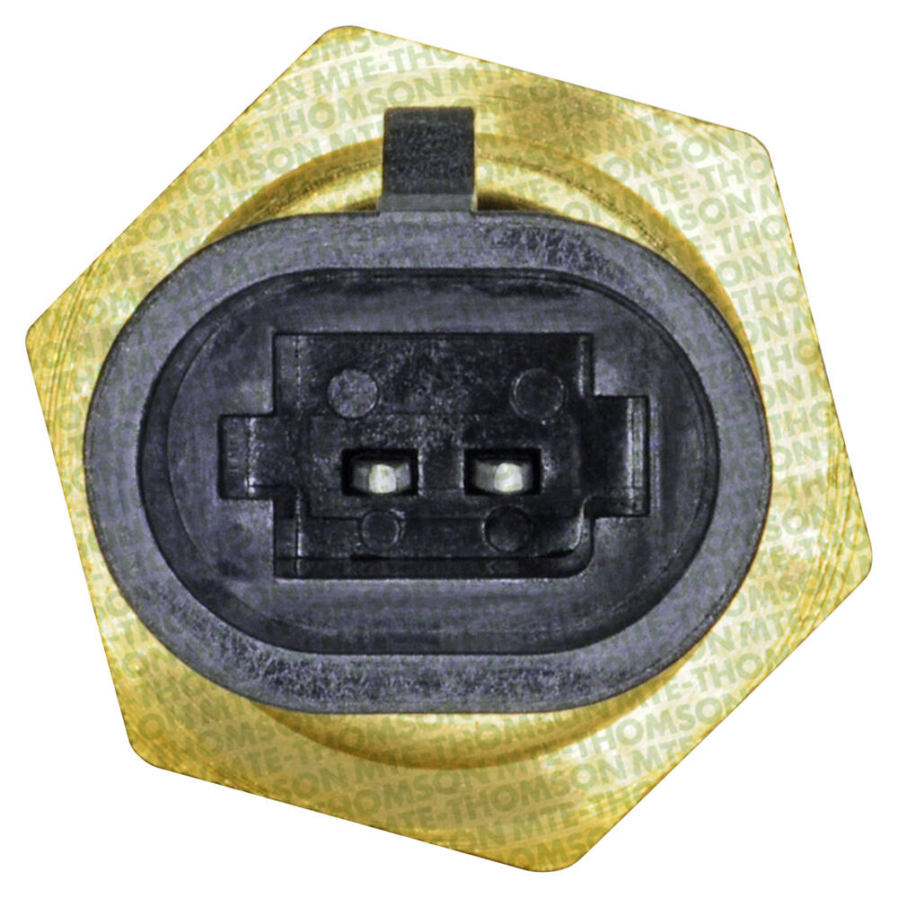 Sensor de Temperatura da Água - MTE - 4207 - (2)