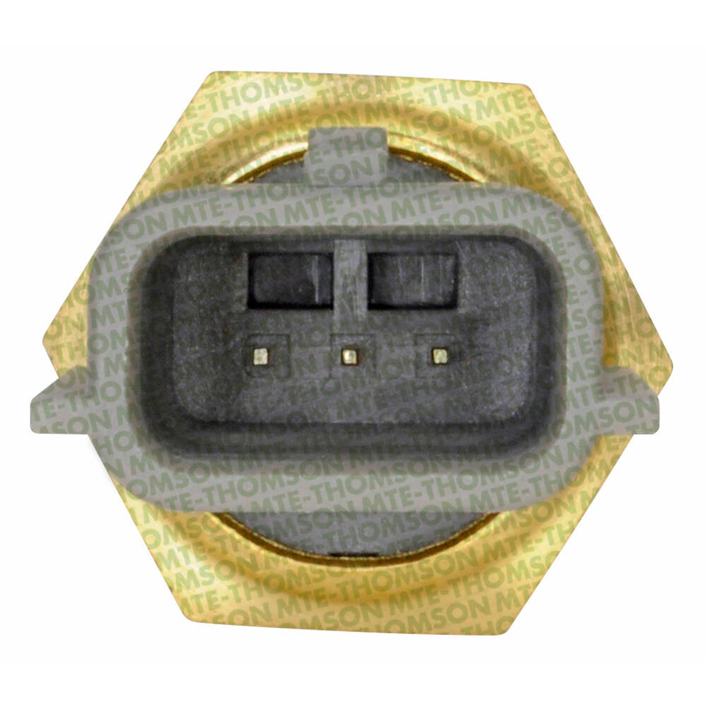 Sensor de Temperatura da Água - MTE - 4248 - (2)