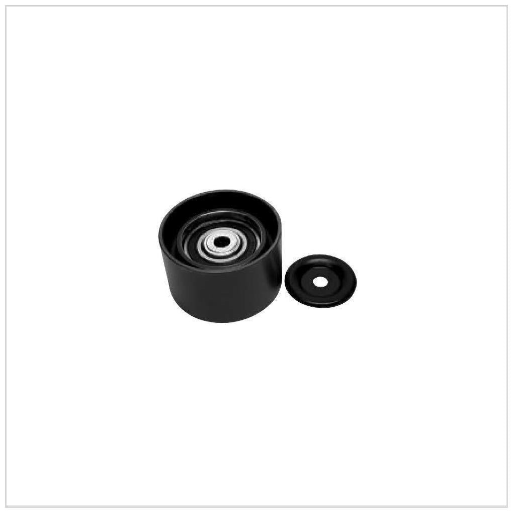 Polia da Correia Auxiliar - SKF - VKM 4925 - (1)