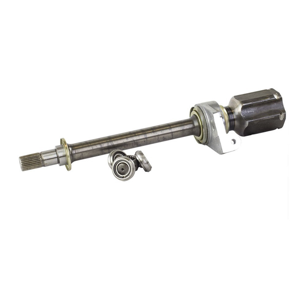 Tulipa Direita - Vetor - Vt5204 - (2)