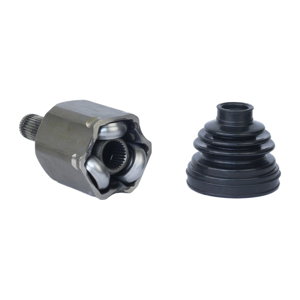 Tulipa Direita ou Esquerda - Vetor - Vt5634 - (2)