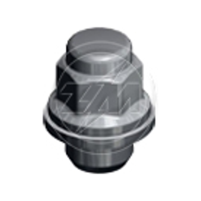 Kit 50 Porca da Roda M12-1,5 x CH21 x H37 - ZM - 29.012.22 - (1)