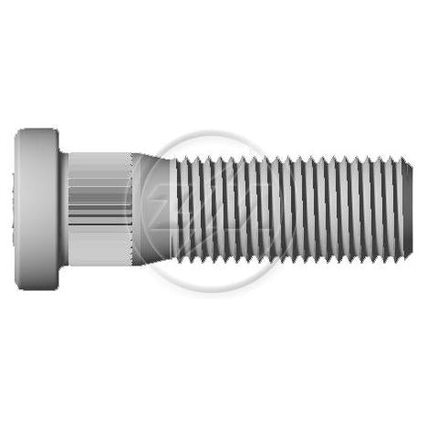 Kit 50 Parafuso de Roda M12-1,25 x 39/44 - ZM - 30.012.46 - (1)